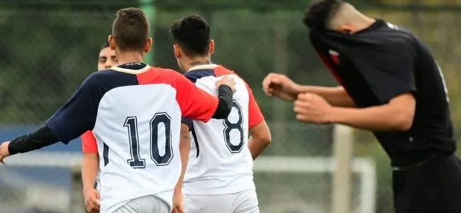 Se los comieron crudos